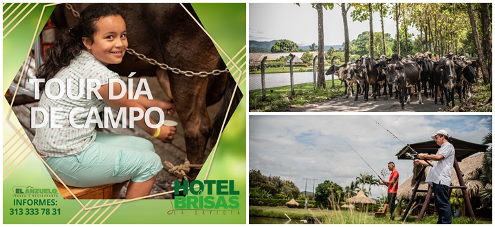 Dia de Campo Brisas La Gaviota